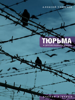 cover image of Тюрьма и другие радости жизни